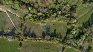 0% Comision | Teren intravilan Zărnești (Tohanița) | Vedere superbă - imagine 5