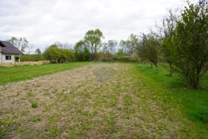 Teren Intravilan de 2.216 mp în Sarasău - imagine 3