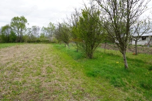 Teren Intravilan de 2.216 mp în Sarasău - imagine 9