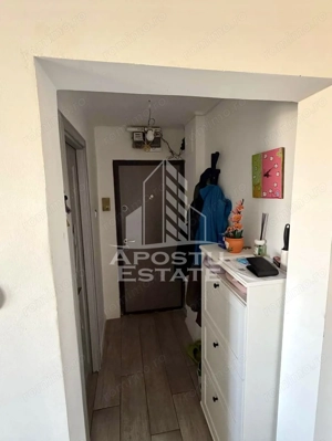 Apartament cu 3 camere de vanzare, centrala, zona Sagului, Timisoara - imagine 7
