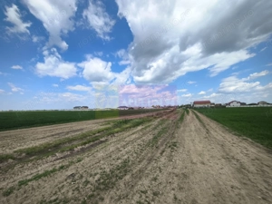 Poșta -Teren 12.450mp pretabil hală/rezidențial la 150ml de utilități - imagine 4