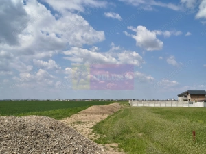 Poșta -Teren 12.450mp pretabil hală/rezidențial la 150ml de utilități - imagine 2