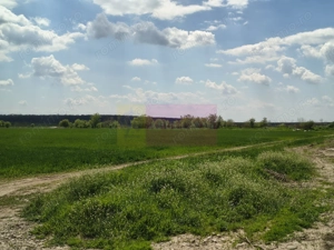 Poșta -Teren 12.450mp pretabil hală/rezidențial la 150ml de utilități