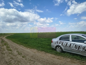 Poșta -Teren 12.450mp pretabil hală/rezidențial la 150ml de utilități - imagine 18