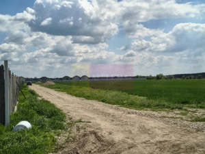 Poșta -Teren 12.450mp pretabil hală/rezidențial la 150ml de utilități - imagine 7