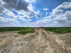 Poșta -Teren 12.450mp pretabil hală/rezidențial la 150ml de utilități - imagine 10