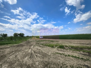 Poșta -Teren 12.450mp pretabil hală/rezidențial la 150ml de utilități - imagine 12