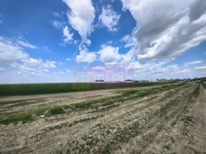 Poșta -Teren 12.450mp pretabil hală/rezidențial la 150ml de utilități - imagine 19