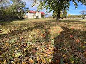 Garsoniera intrare separata la casa - imagine 6