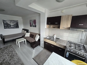 iancului etaj 10 elev stefanescu - imagine 7