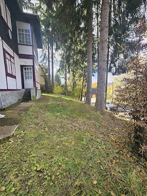 Se vinde Vila Muntenia in Sovata jud Mures   - imagine 10