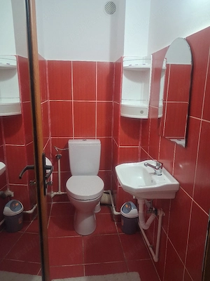 Apartament 3 camere etaj 3 Mioveni - imagine 5
