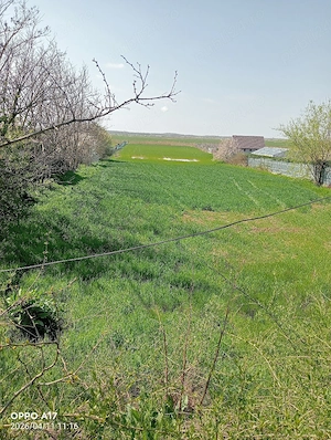 Vânzare teren 6300m2 Vasile Alecsandri - imagine 2