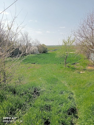 Vânzare teren 6300m2 Vasile Alecsandri - imagine 3