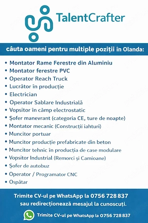   TalentCrafter recrutează pentru OLANDA! pentru cunoscatori de limba engleza (nivel conversati)