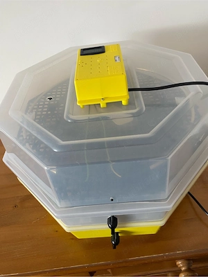 Incubator Cleo 5x2