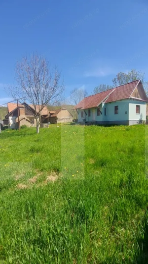 Casă autentică  3.100 mp teren, livadă si parau I Lisnau - imagine 2