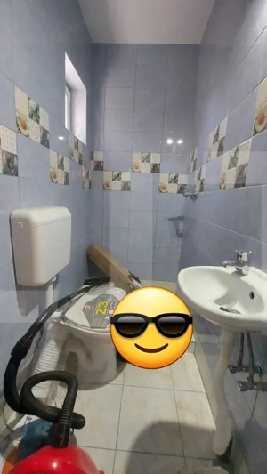 Casă autentică  3.100 mp teren, livadă si parau I Lisnau - imagine 10