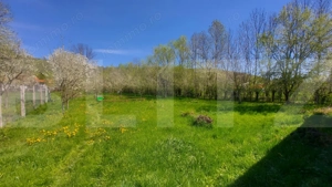 Casă autentică  3.100 mp teren, livadă si parau I Lisnau - imagine 4
