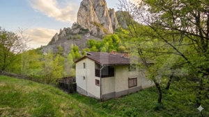  Cabana de poveste în Râmeț | 2000 mp teren + râu pe proprietate | ideală pent - imagine 2