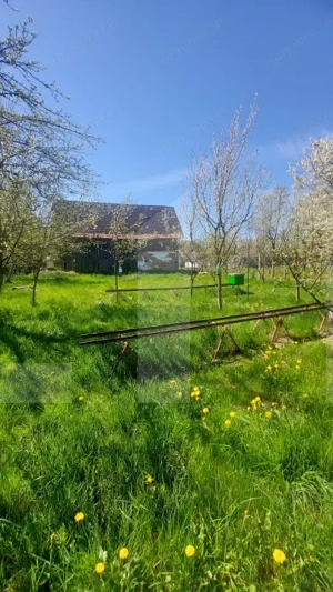 Casă autentică  3.100 mp teren, livadă si parau I Lisnau - imagine 3