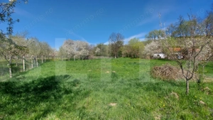 Casă autentică  3.100 mp teren, livadă si parau I Lisnau - imagine 5