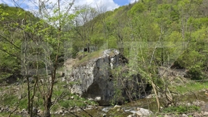  Cabana de poveste în Râmeț | 2000 mp teren + râu pe proprietate | ideală pent - imagine 13