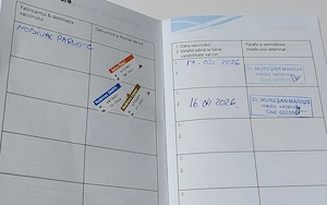 Catel Canish - Poodle talie mica - imagine 5