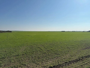 Teren de vanzare - 7 ha -Sinești - Ialomița, deschidere la DN 2