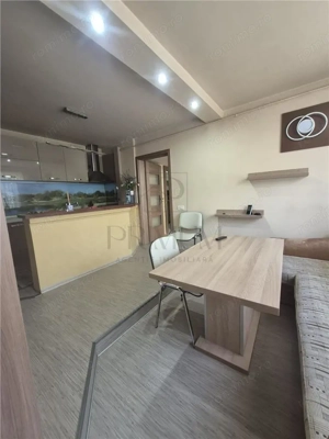 CASA INDIVIDUALA IN TIMISOARA -  ZONA EXCELENTA - GATA DE MUTARE IMEDIATA - imagine 13