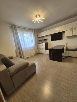 CASA INDIVIDUALA IN TIMISOARA -  ZONA EXCELENTA - GATA DE MUTARE IMEDIATA - imagine 16