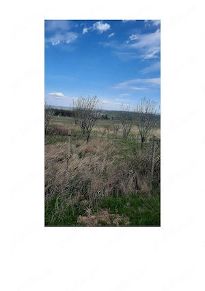 Teren intravilan Ilișești, jud. Suceava, 1000 mp. - imagine 2