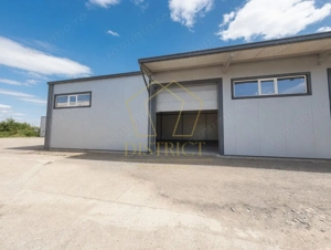 COM 0 | Hala industriala 466mp | Freidorf - imagine 7