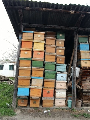 Stupi (cutii), caturi, diafragme, hrănitori, faguri 1 pe 1