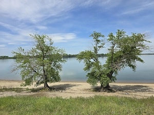 Teren intravilan, pe malul Dunării, comuna Maglavit, Dolj.