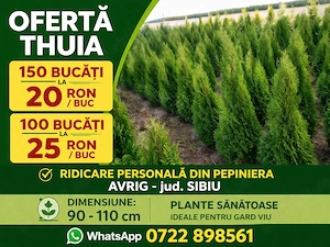 Super Reducere la Tuia Smaragd 110 cm, la ghiveci 20 RON buc