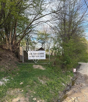 Teren de vanzare Cisnadioara 