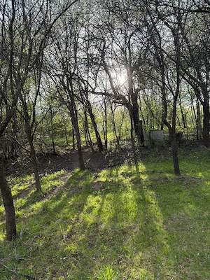 Teren de vanzare Cisnadioara  - imagine 5