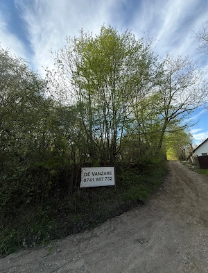 Teren de vanzare Cisnadioara  - imagine 2