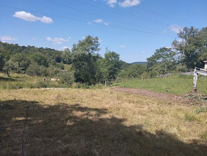 Vând teren in Vânători,langa Ciucea,4630 mp,15.000 EUR - imagine 2