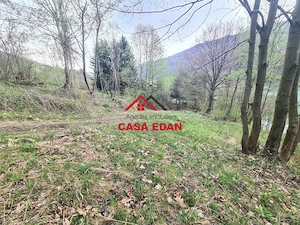 Teren intravilan in Valea Doftanei cu iesire la Parajul Paltinu--1000 mp--130e mp - imagine 10