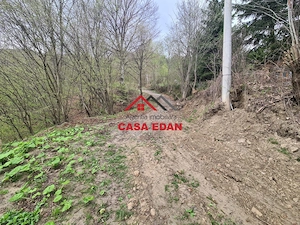 Teren intravilan in Valea Doftanei cu iesire la Parajul Paltinu--1000 mp--130e mp - imagine 12