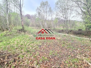 Teren intravilan in Valea Doftanei cu iesire la Parajul Paltinu--1000 mp--130e mp - imagine 16