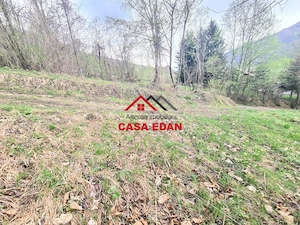 Teren intravilan in Valea Doftanei cu iesire la Parajul Paltinu--1000 mp--130e mp - imagine 5