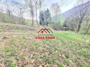 Teren intravilan in Valea Doftanei cu iesire la Parajul Paltinu--1000 mp--130e mp - imagine 4