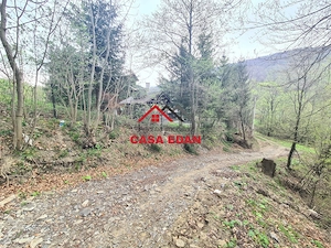 Teren intravilan in Valea Doftanei cu iesire la Parajul Paltinu--1000 mp--130e mp - imagine 14