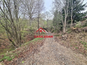 Teren intravilan in Valea Doftanei cu iesire la Parajul Paltinu--1000 mp--130e mp - imagine 13