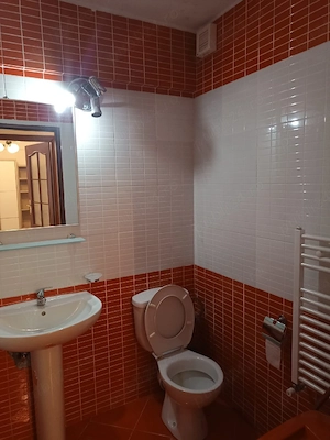 Închiriez apartament cu 1 cameră (garsoniera) - imagine 5