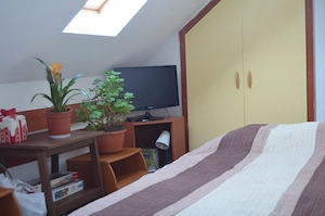 Busteni-Apartament cu doua camere,panorama spectaculoasa - imagine 3