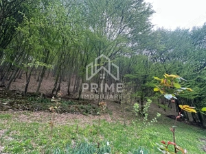 Cabana 5 camere, 75 mp| teren 900 mp| zona Iezer Ighiel - imagine 11